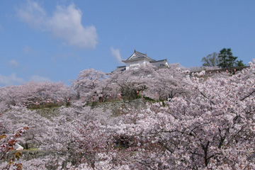 鶴山公園と津山城